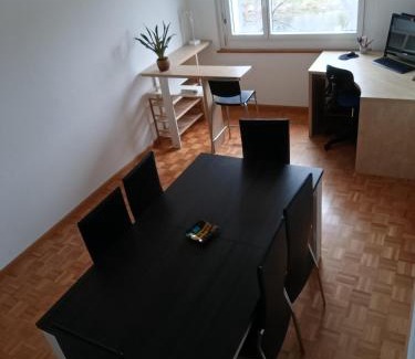 Birsfelden Apartment | ESC Basel Furnished Apartment