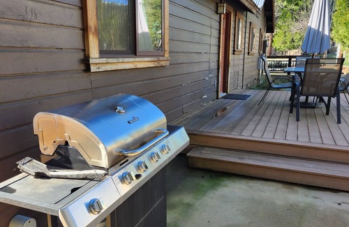Trinity Center Condo | Escape to Nature: Charming 3-Bedroom Cabin near Trinity Lake