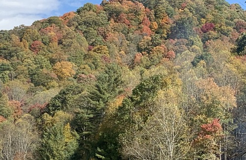 Bakersville House | Escape to the mountains