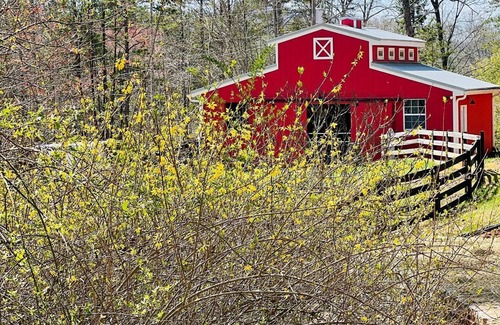Helen Cottage | Escape to Your Own Private Yellowstone! Trendy Horse Farm 5 miles from Helen GA!