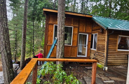 Mason County Cabin | EscapenOutdoor Infrared SaunanSunroom nGame room nLakefront cabinnFireplace n