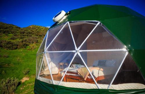 Pukerua Bay Other | Escarpment Domes