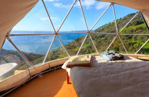 Pukerua Bay Other | Escarpment Domes