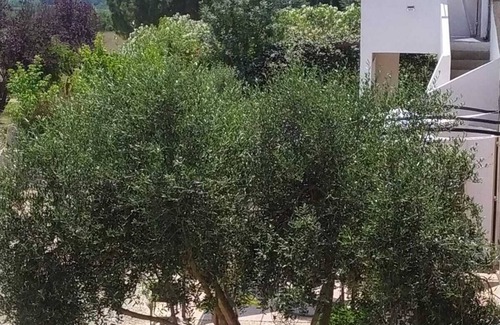 Poilhes House | Estate near the Canal du Midi and beaches