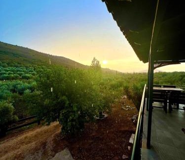 Lefkakia House | Estate Tsiati