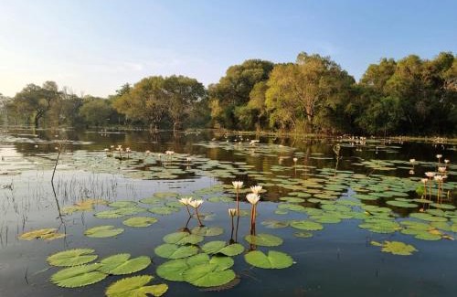 Wellawaya House | Ethili Lake view & Safari Camp