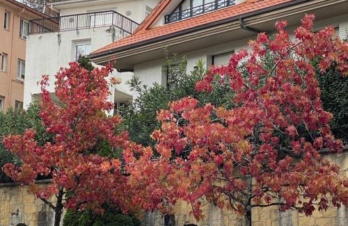 Zarautz House | Etxeberria