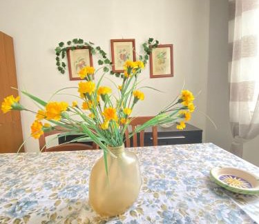 Lacco Ameno House | Euploia Apartment