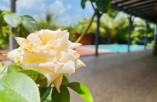 Saint-Louis Villa | Evasion tropicale villa créole avec piscine et bungalow