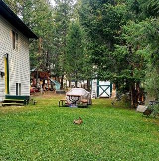East Kootenay Apartment | EVCharger, Free Parking, Ski, Golf, BBQ, Awesomeness