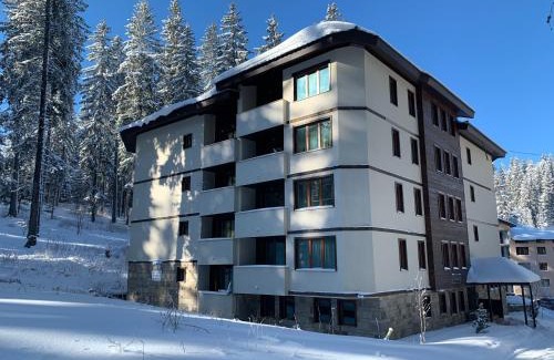 Pamporovo Apartment | Evrika home 19