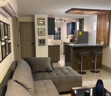 Escobedo Apartment | Excelente departamento equipado