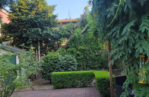 Lair Hill House | Excellent location! Close to OHSU, river and downtown