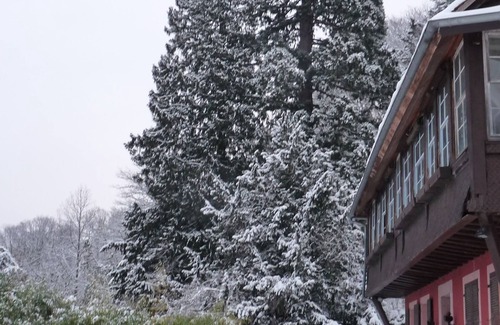 Munster Apartment | Exceptional site on the edge of the forest, between mountains and countryside