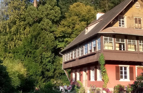 Munster Apartment | Exceptional site on the edge of the forest, between mountains and countryside