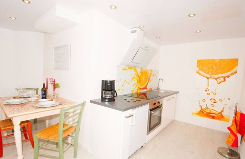 Uhldingen-Muehlhofen Apartment | Exclusive apartment with fitness room - close to Lake Constance and nature