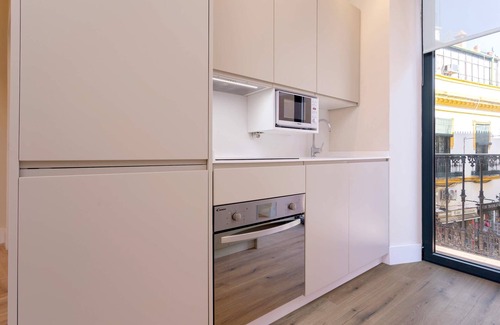 Santa Cruz Apartment | Exclusive dúplex near Cathedral. Rodrigo Caro III