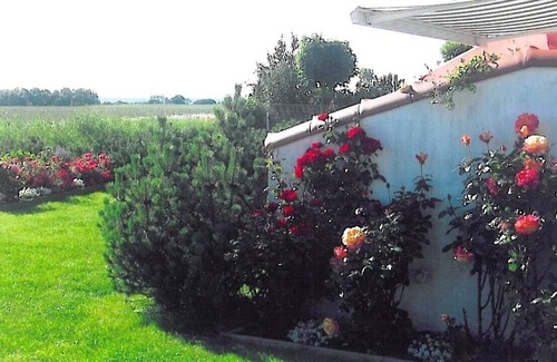 Dassow Apartment | Exclusive, quiet vacation apartment for 4 people with panoramic views of the Baltic Sea