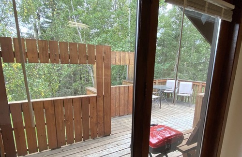 Sterling Cabin | Exclusive VIEW Property near Kenai River