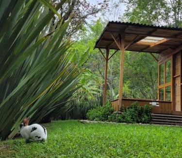Salento Cabin | Exclusivo Cocora con Jacuzzi Salento Quindio