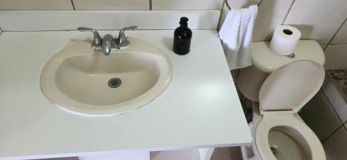 Zona 9 Apartment | Executive Apartment Guatemala City