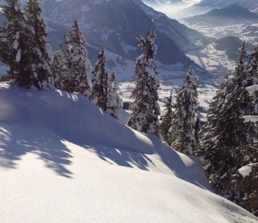 Schoenried Ski Chalet | Exklusives Chalet mit 360 Panorama