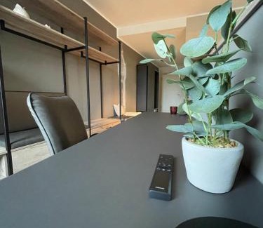 Delitzsch Apartment | Exklusives Wohnen im historischen Wasserturm dem Highlight von Delitzsch WE321