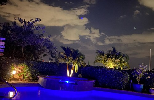 Caloosahatchee House | Expansive Riverfront Home. Heated pool spa. LargeTiki Bar & Outdoor Kitchen.