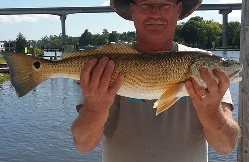 Core Creek Boat Rental | Experience living on a Houseboat and a fisherman's delight!