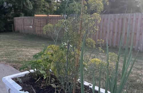 Indianapolis House | Experience upscale comfort at this luxury modern stay in Indianapolis. With over 2,000 sqft of stylish living space, this rental offers spacious rooms, sleek design, and quick access to downtown attractions and major highways.