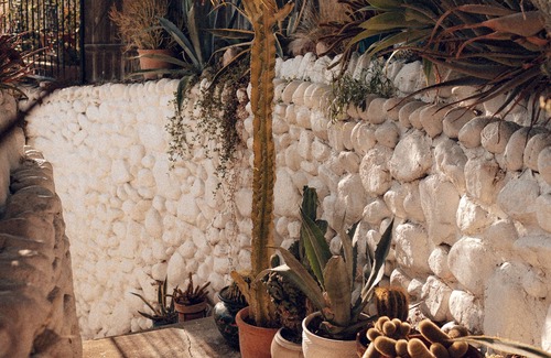 Eagle Rock Bed & Breakfast | Experiential Private Club's Guest Room in hills of Highland Park