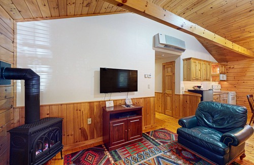 Northport Cabin | Explore nature cabin with kitchen, fireplace, WiFi, hiking & AC