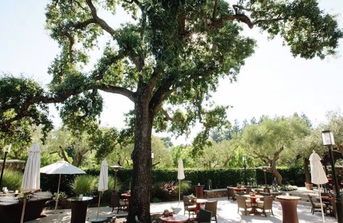 Yountville House | Explore Nearby Domaine Chandon Winery! Heated Outdoor Pool, Pets are Welcome