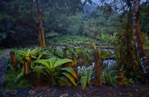Kotapola Hotel | Explore Sinharaja Rain Forest Tour Camp