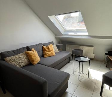 Centre Ancien Apartment | F2 au CALME HYPER CENTRE