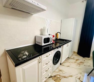 Tulcea Apartment | Fabian Apart CenterTown