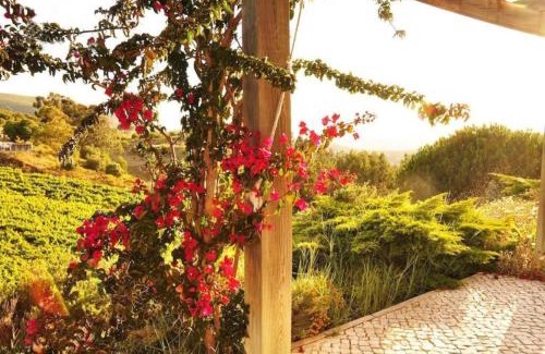 Setubal Villa | Fabulosa Quinta do Vento