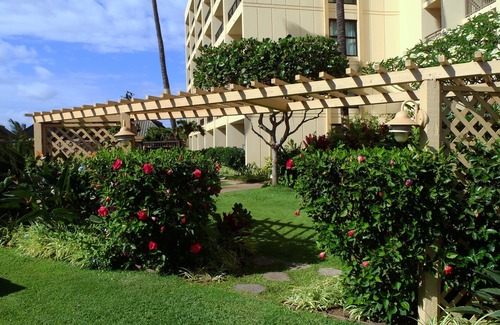 Kihei Condo | Fabulous Beachfront Property - Ground Floor Corner Unit Steps to the Beach!