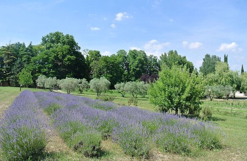 Forcalquier House | Facing the orchard and the Alps, Gite Montagne de Lure for five people