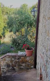 Simignano House | Falesta