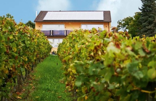 Bad Duerkheim Apartment | Falkenhorst - house on the mountain