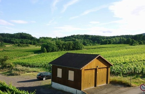 Bad Duerkheim Apartment | Falkenhorst - house on the mountain