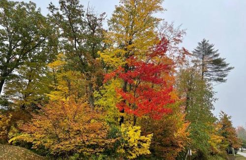Ogunquit - Wells House | Fall Cottage that Sleeps 6 with 2 Bedrooms Sun Room Jaccuzi 1 Mile to Beach!