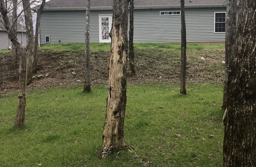 Murfreesboro House | Fall Creek Cottage - Near I-840 and minutes to Superspeedway and Siegel Soccer.