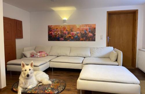 Biberwier House | Familienfreundliches Haus mit eingezäuntem Garten