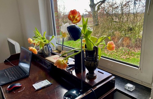 Leezdorf House | Familienurlaub in Ostfriesland auf dem Land - in Aller Ruhe Genießen