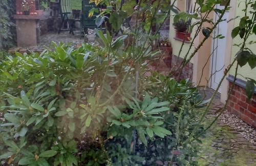 Doebeln Apartment | Family-friendly accommodation