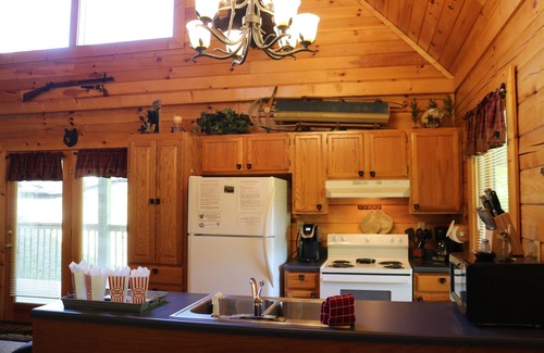 Sevierville Cabin | Family-friendly ;Avg. nightly rate $99; 5 miles from Soaky Mtn. Waterpark