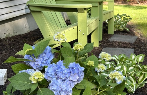 Osterville House | Family Friendly Cape House Retreat with Beach Pass