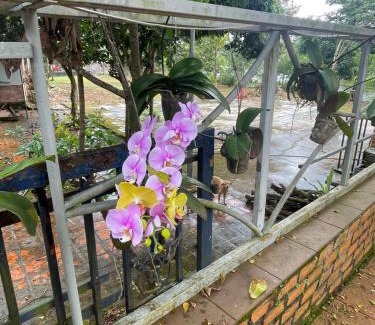 Buon Ma Thuot Villa | family garden